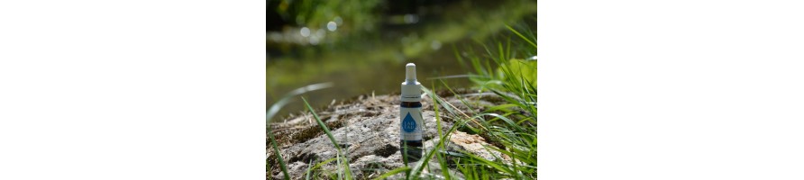 LAB'eau
